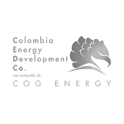 cogenergy